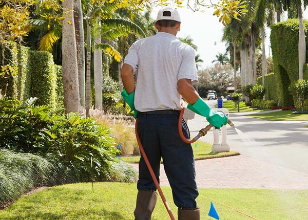 About Union IL Pest Control
